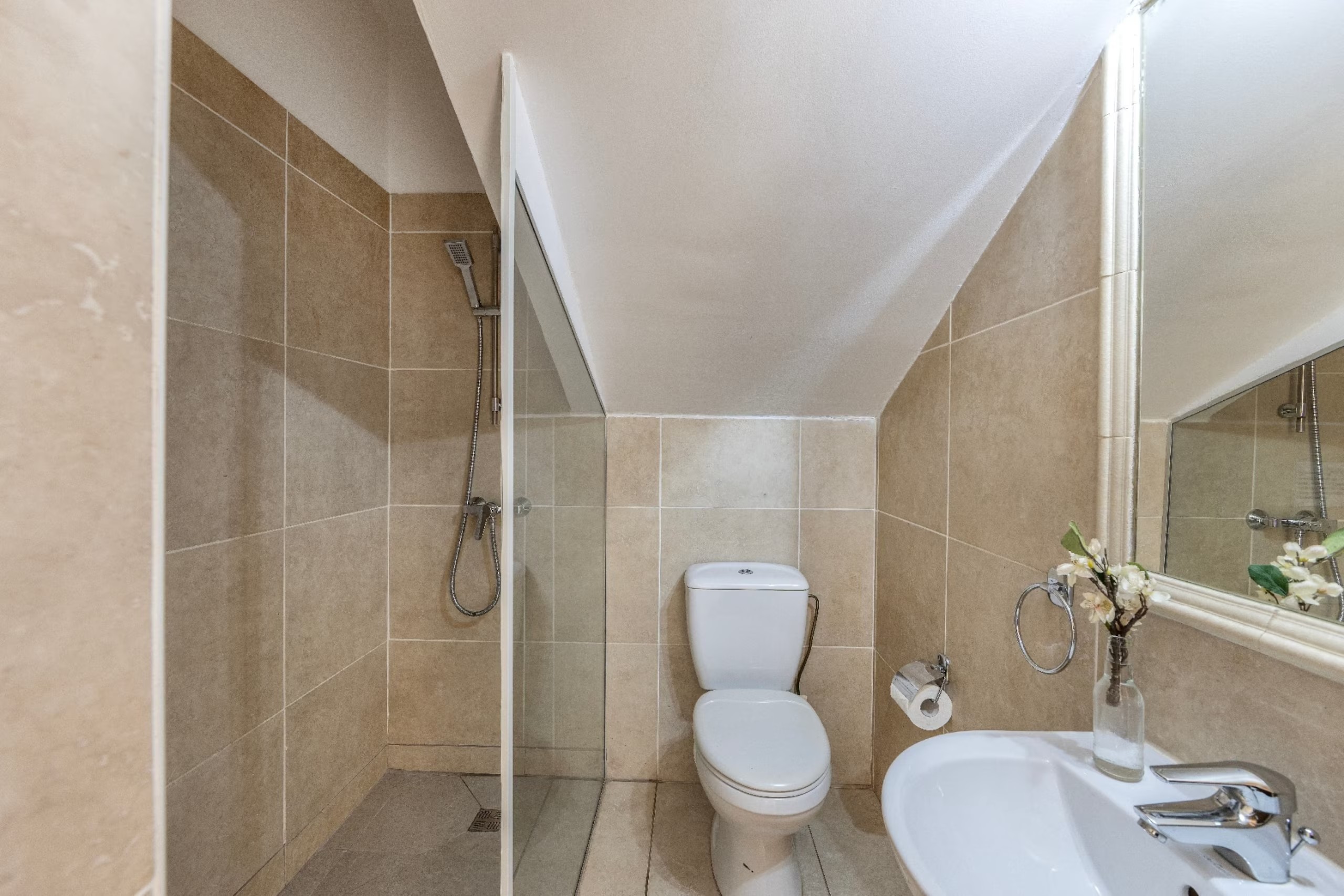 Ground-floor shower room with glass shower screen, toilet and washbasin beneath the stairs